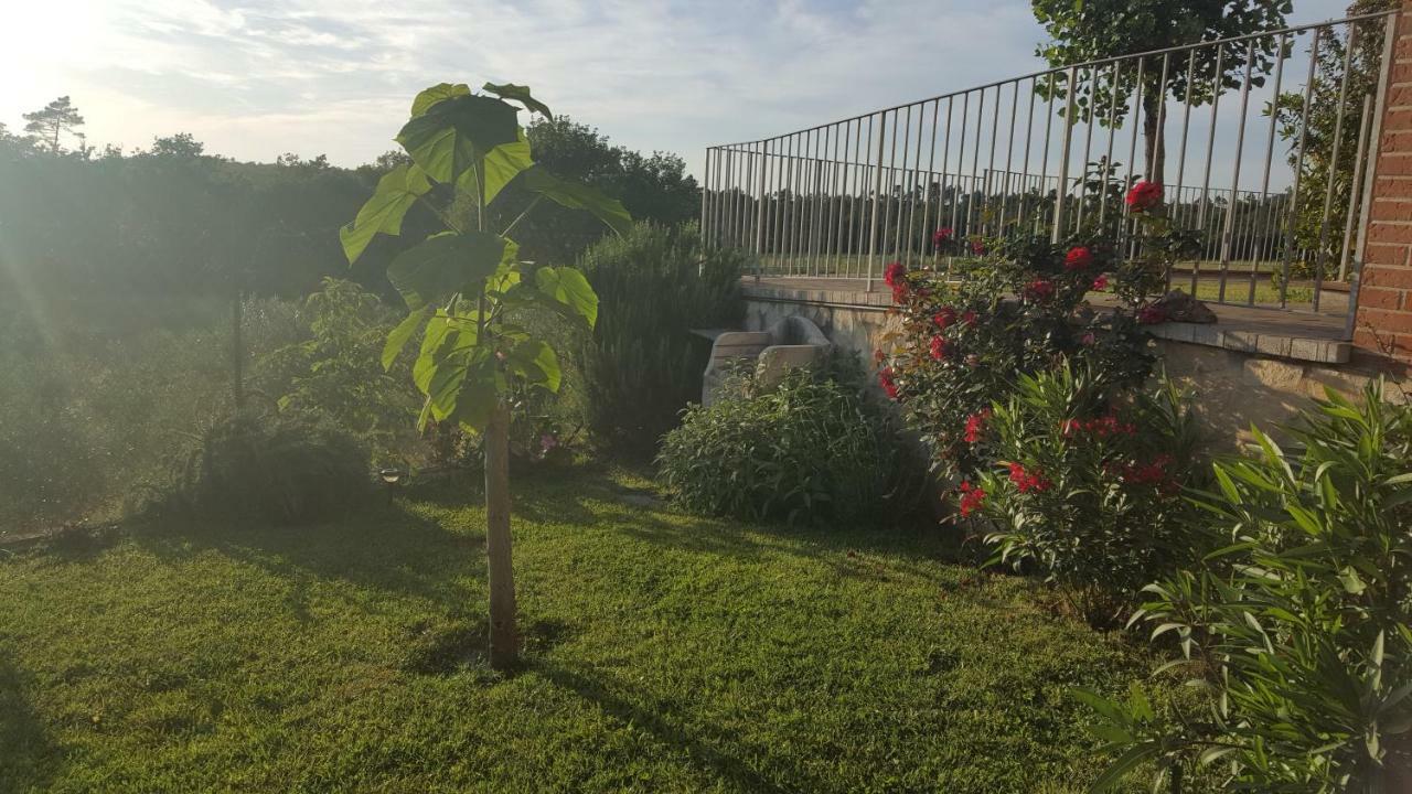 הוילה Pievescola Casa La Pineta מראה חיצוני תמונה